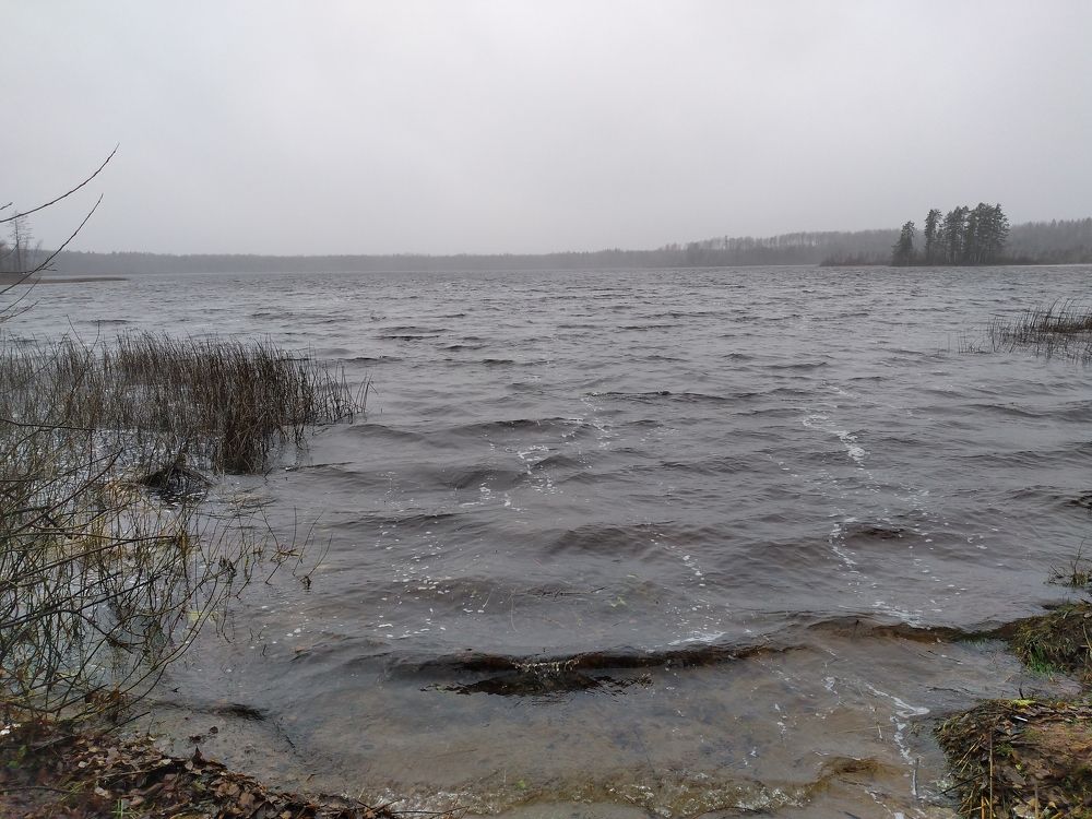 Photo #8613739
