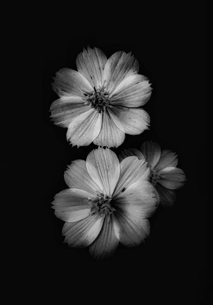 Photograph by Upul Nelundeniya