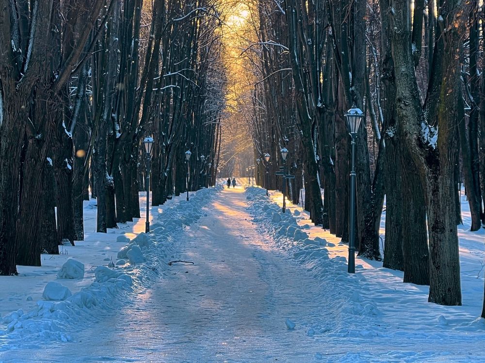 Зимние лучи солнца