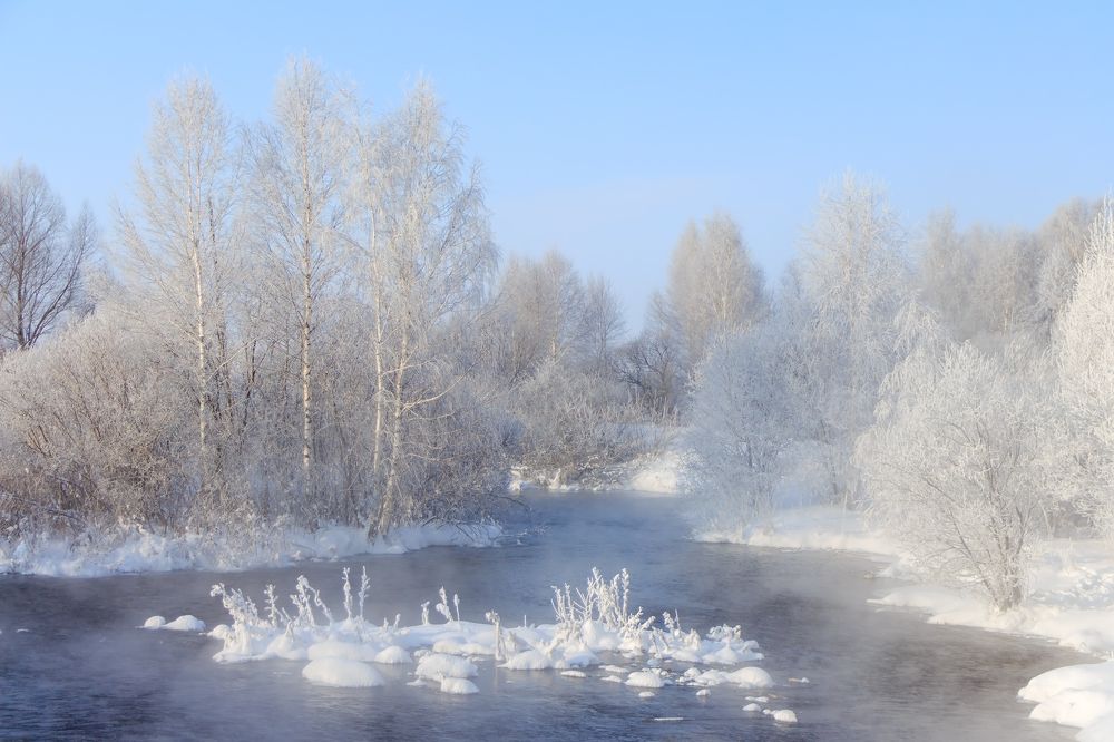 Морозный день.