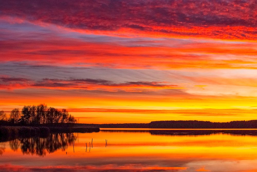 Фотография автора Александр Буренко