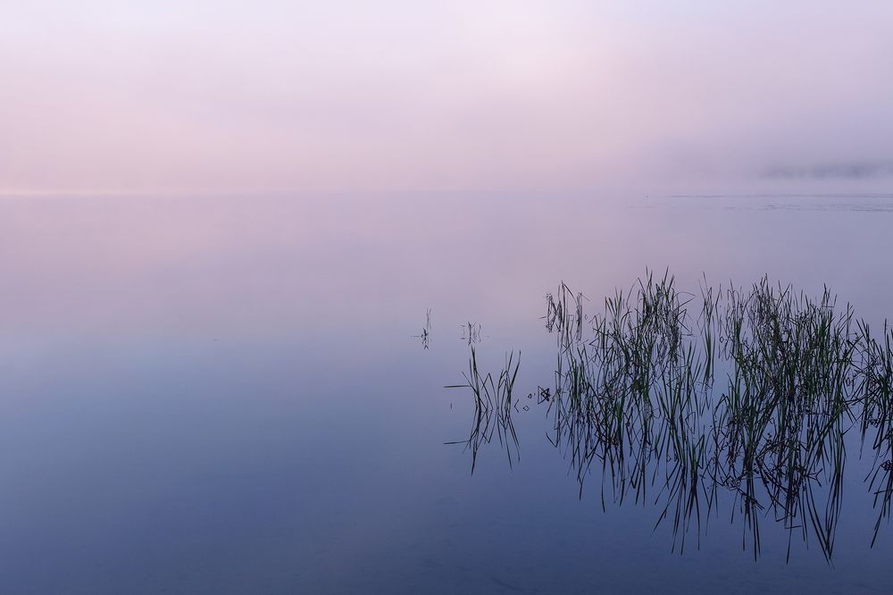 Photograph by Светлана Печенкина