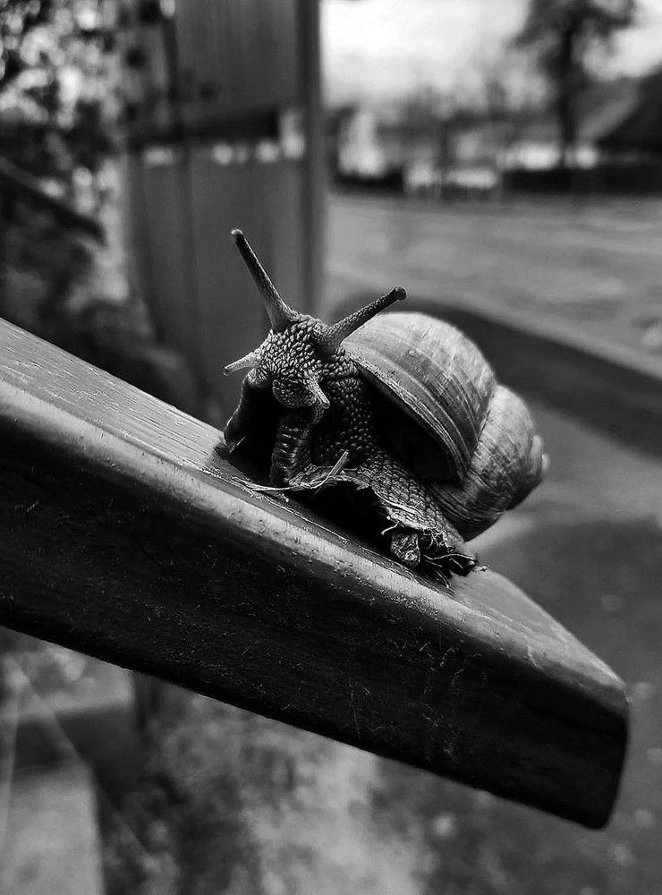 Photograph by 