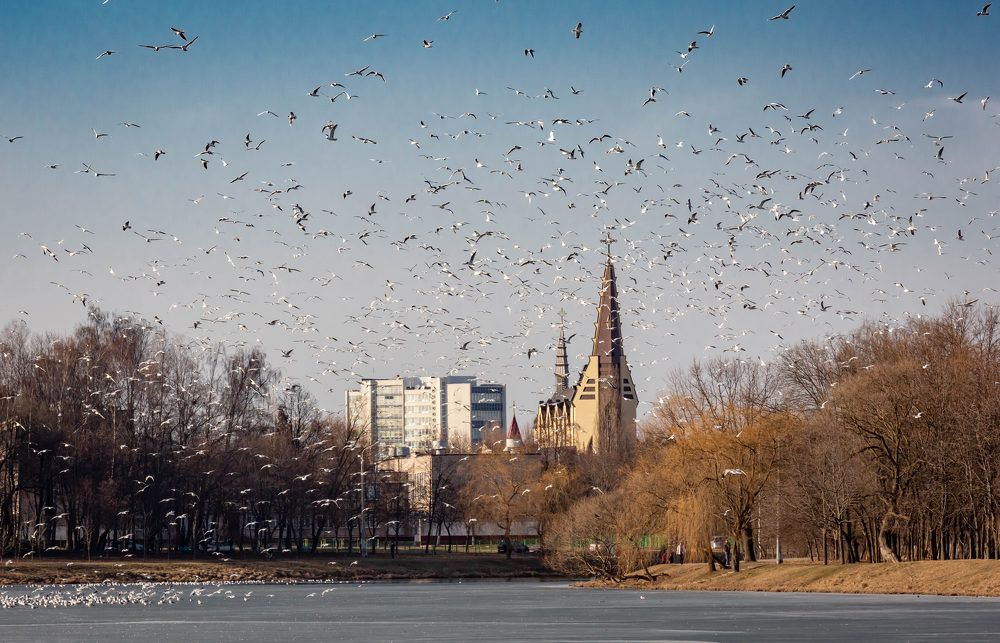 Photograph by Диана Бородзе