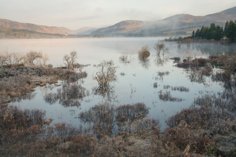 Photograph by Andy Fowlie