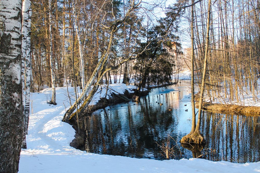 Photograph by Матвей Короткин