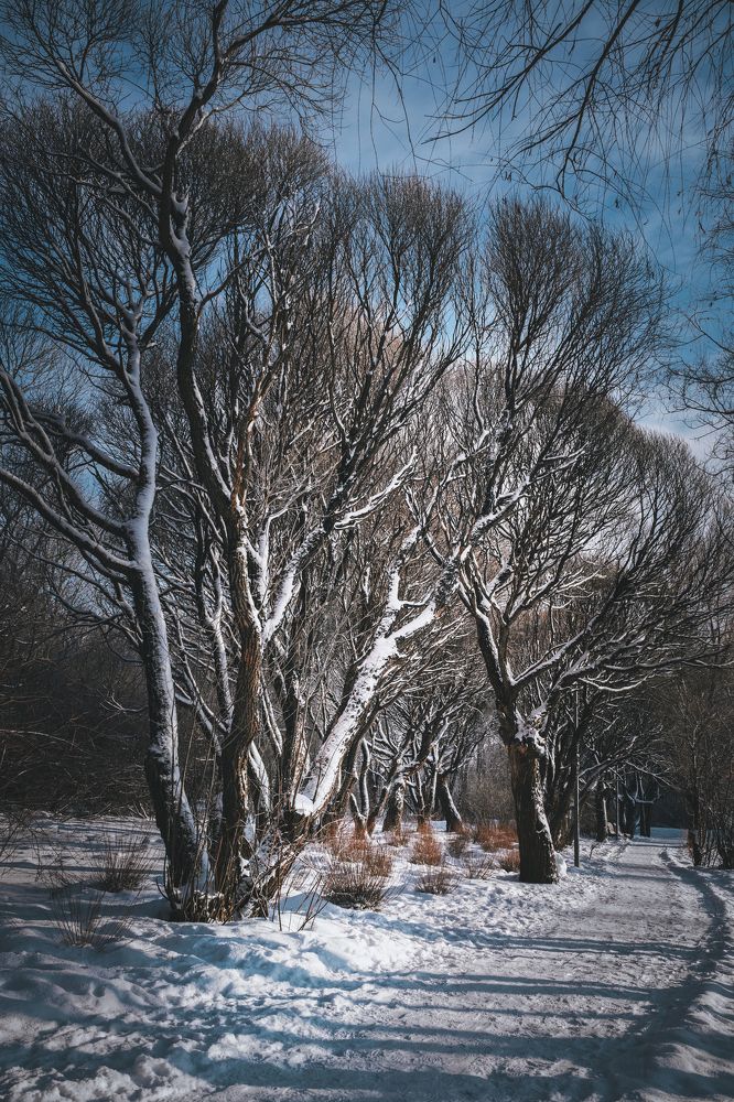 Photograph by Николай Фонарёв