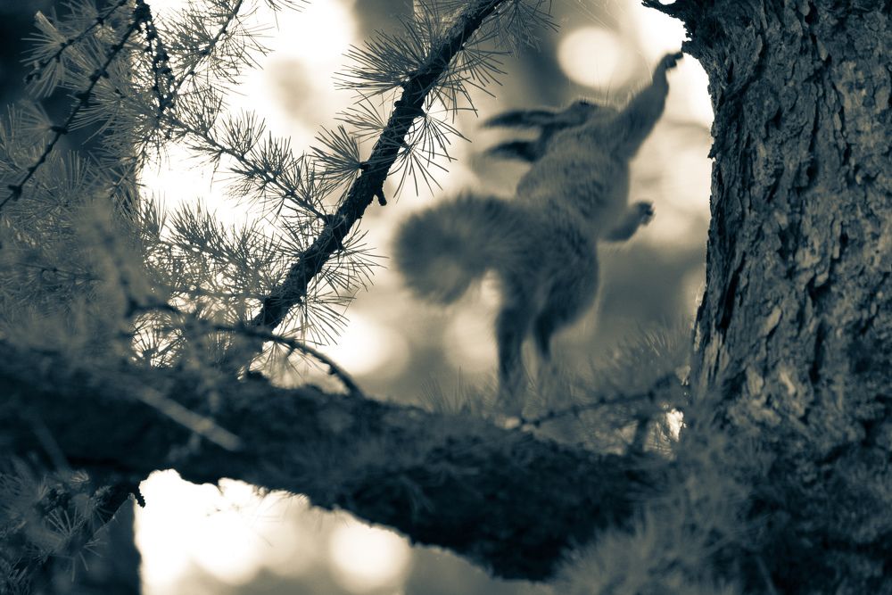 Photograph by Ольга