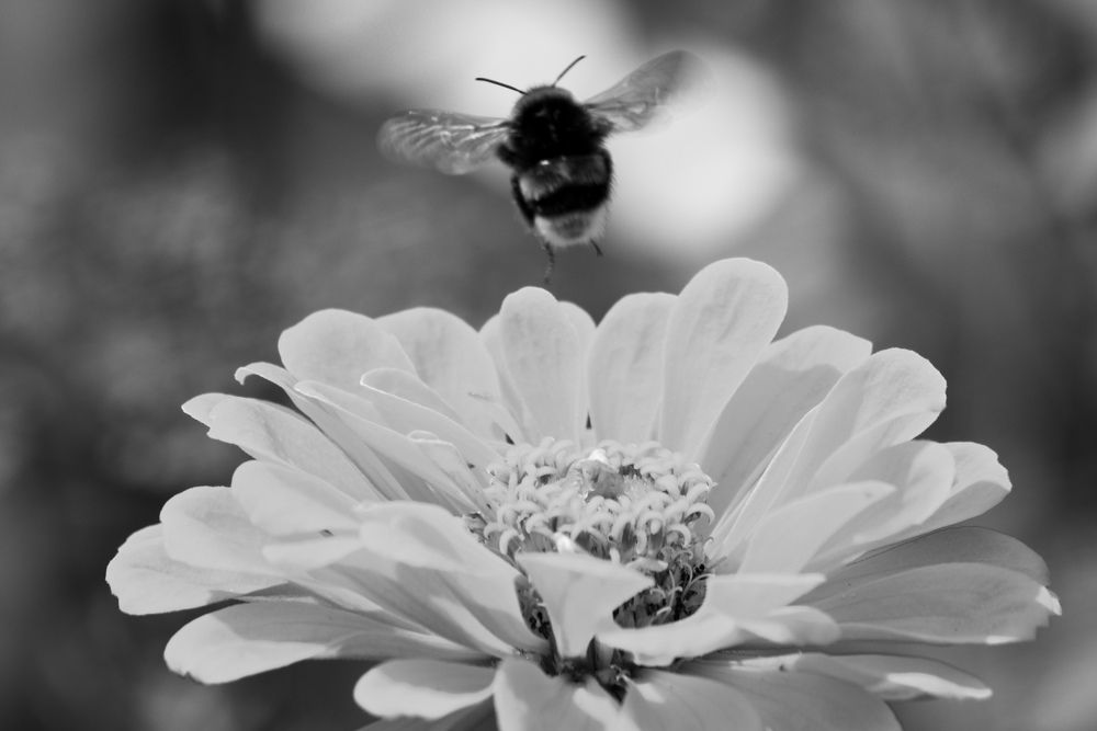 Photograph by Ольга