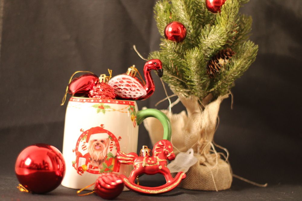 Photograph by Анастасия Липаткина