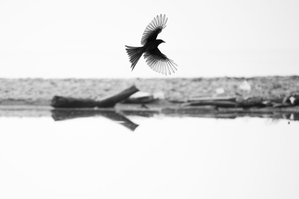 Photograph by Deepak Kakara