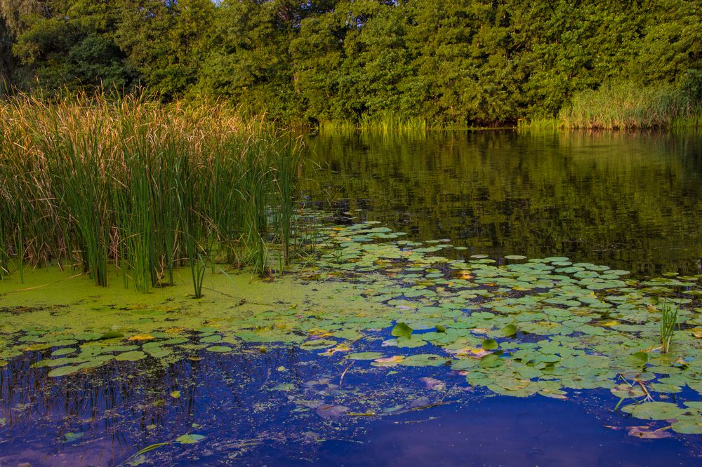 Photograph by Маринэ Тонунц