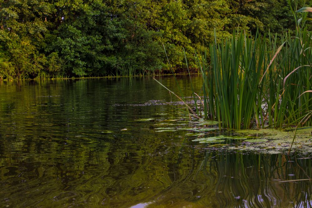 Photograph by Маринэ Тонунц