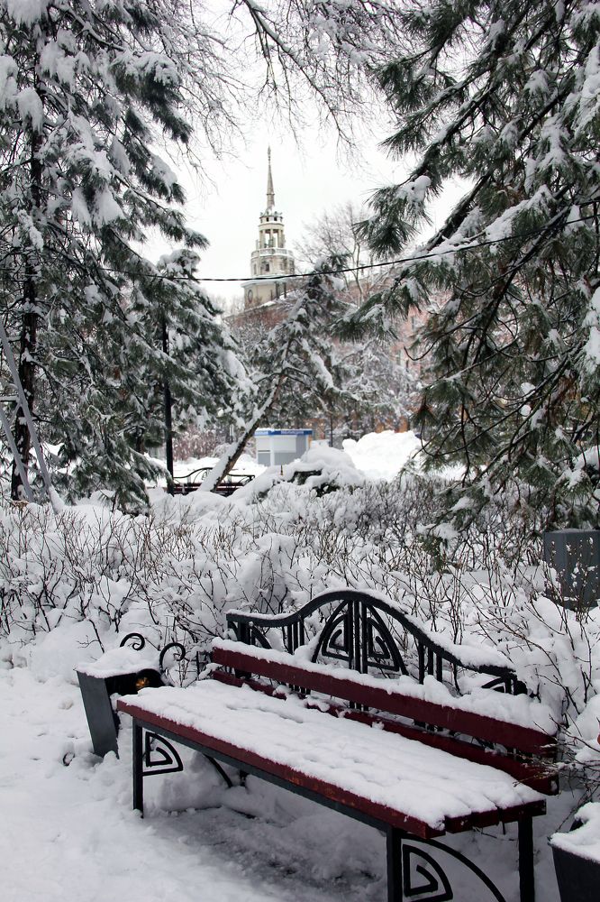 Photograph by Галина Фурсова