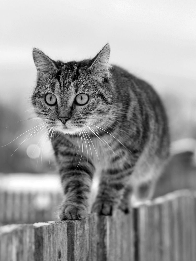 Photograph by 