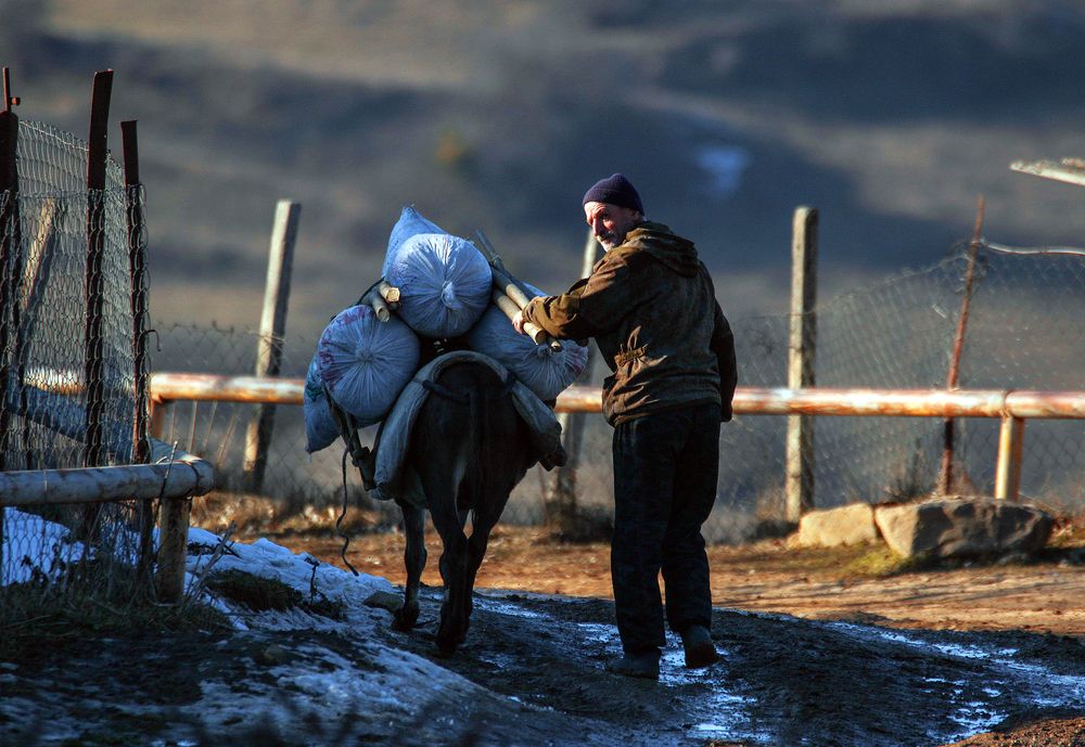 Перевозчик...