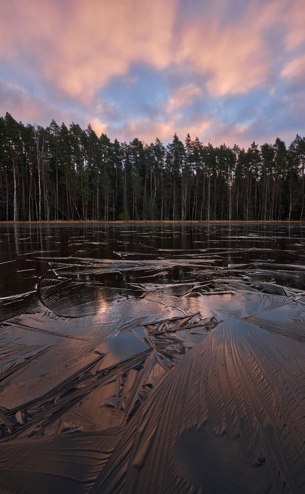 Photograph by Горшков Игорь