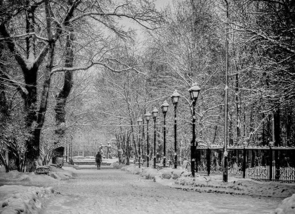 Фотография автора 