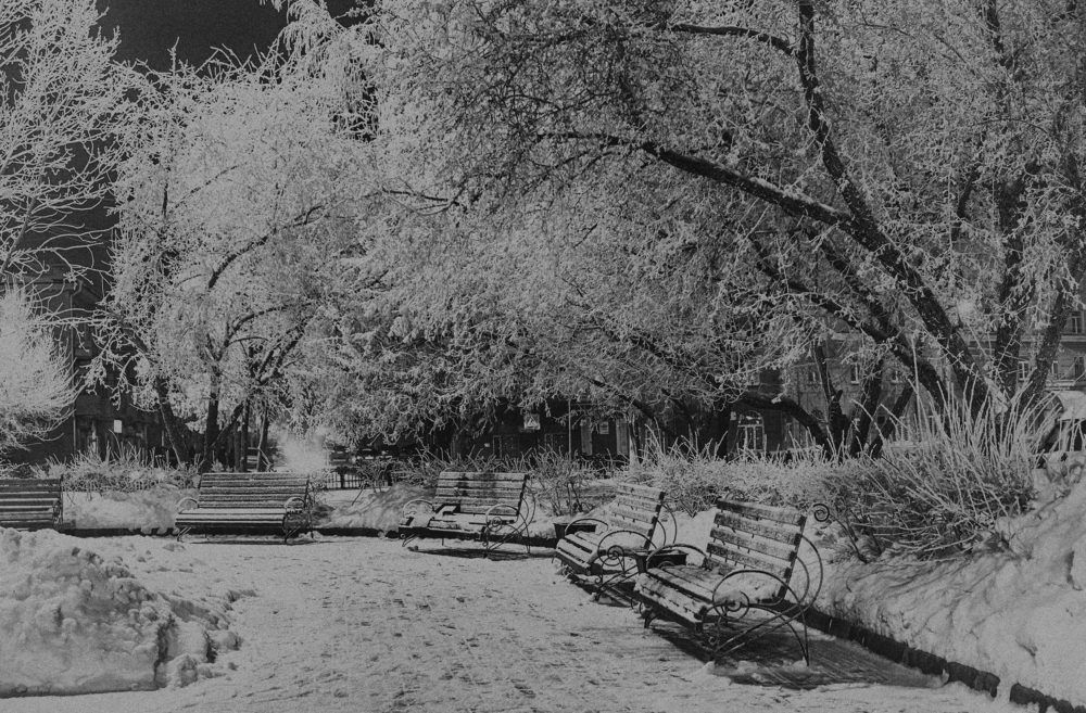Фотография автора 