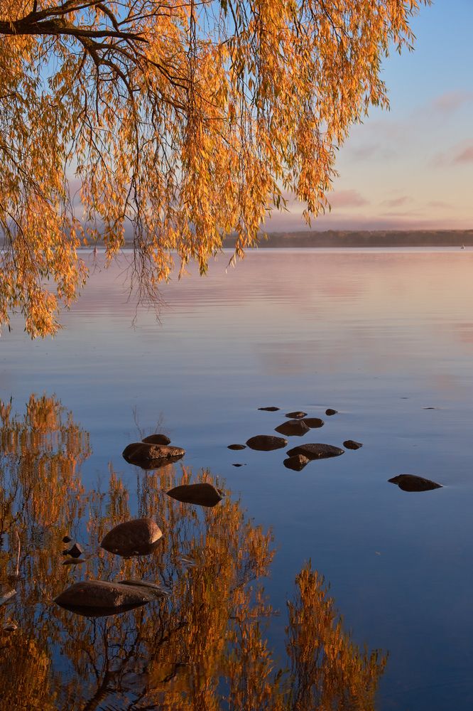 Photograph by Горшков Игорь