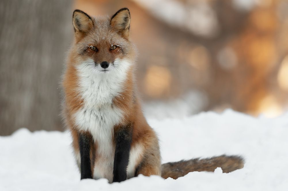 Photograph by Nathalie Talbot