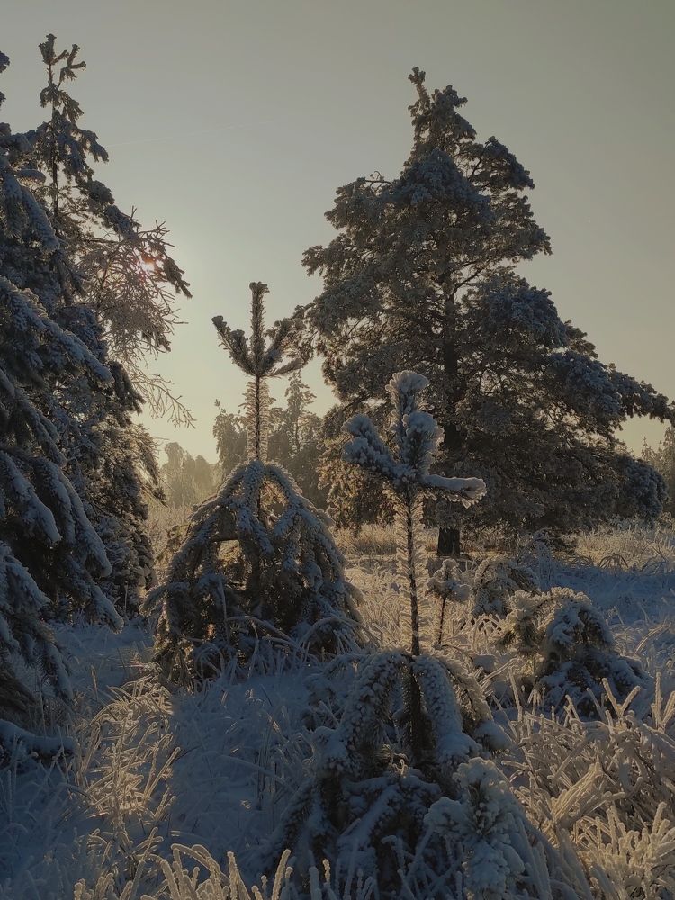 Photograph by Helen Ka