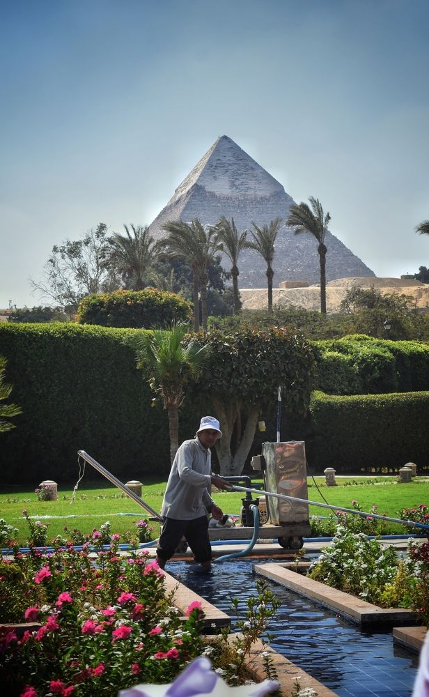 Photograph by Ahmed zaki