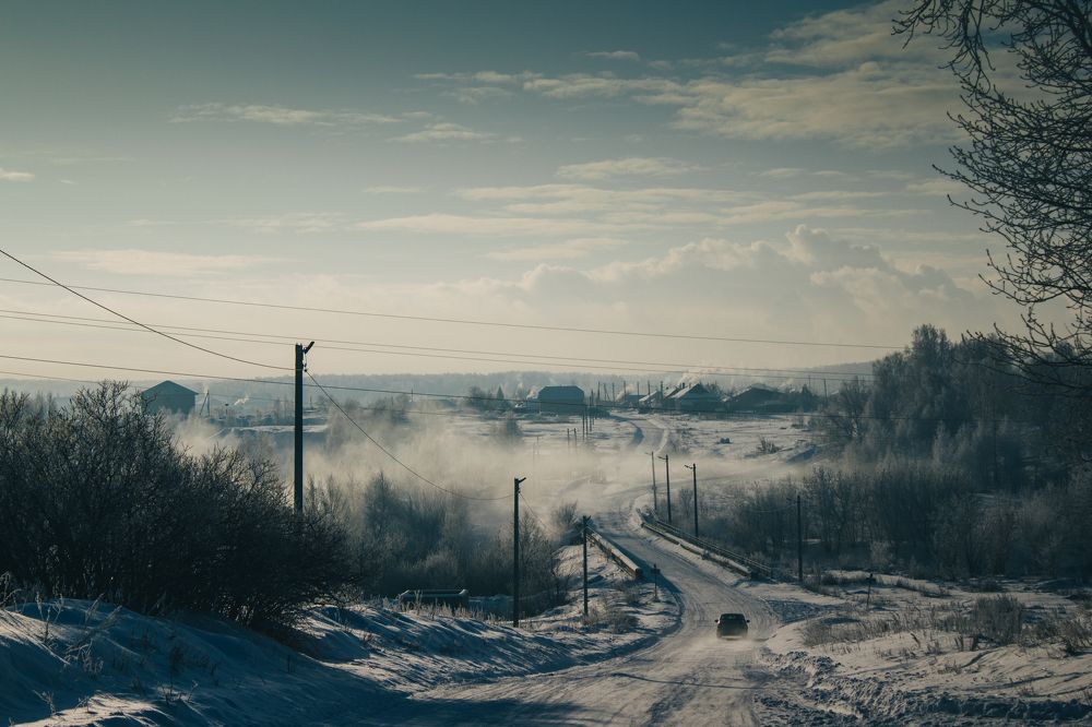 Photo #8614585