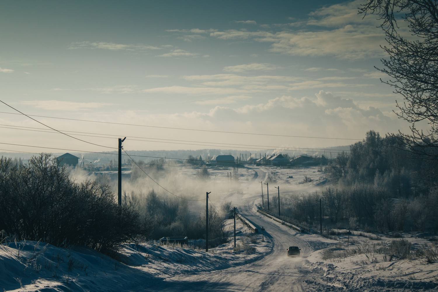 Photo #8614585
