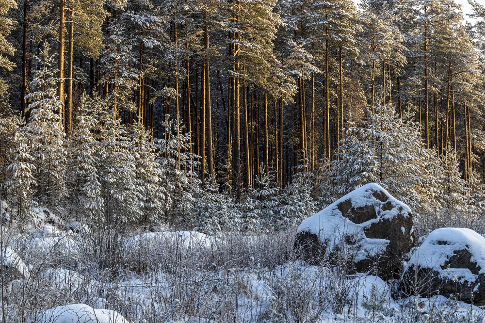 Photograph by Юлия Куликова