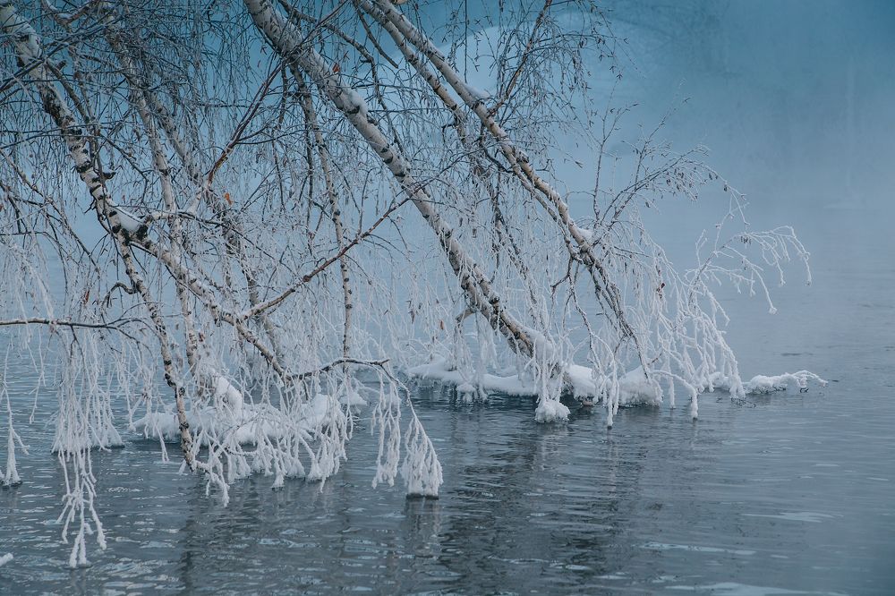 Photograph by Елизавета