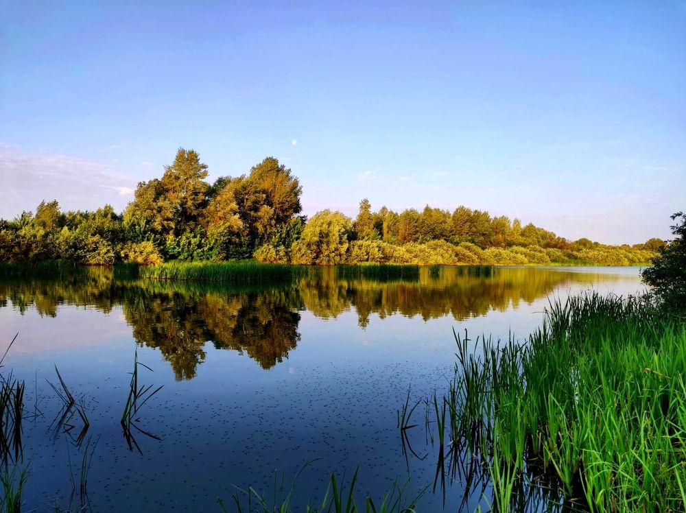 Photograph by Надежда Батракова