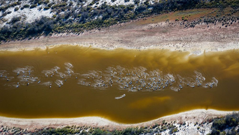 Photograph by Robin Yong