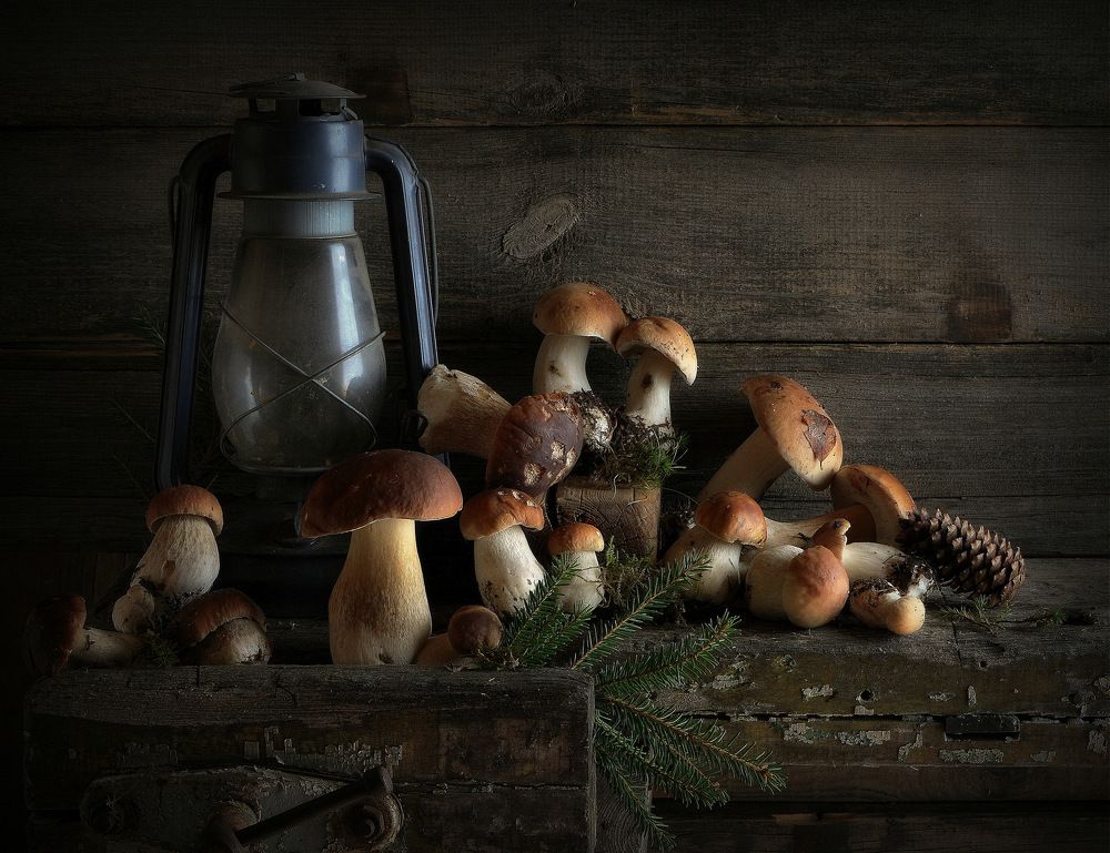 Photograph by Сергей Алексеев