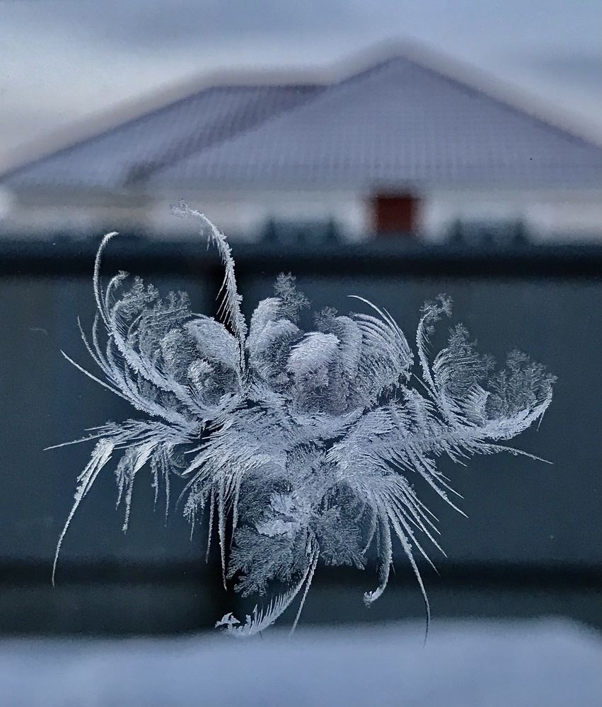 Photograph by Наталья Перерва