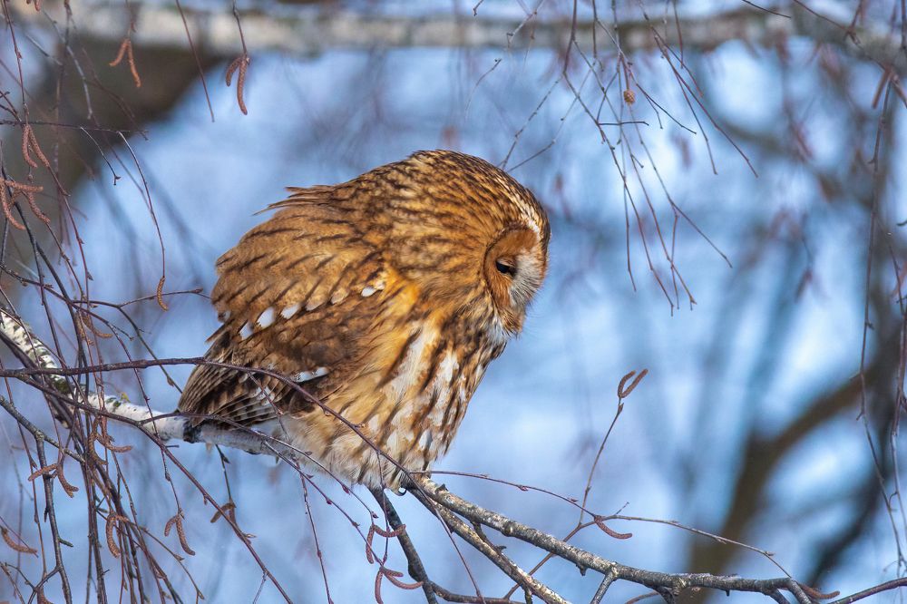 Photograph by Власов Егор