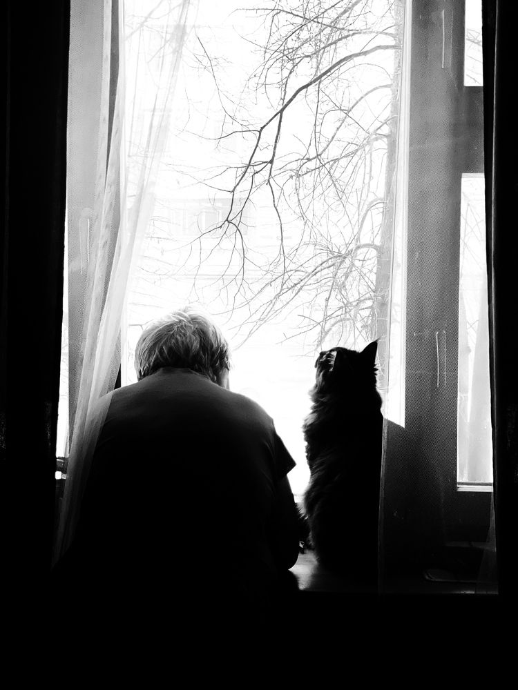 Photograph by Анна Зеленина