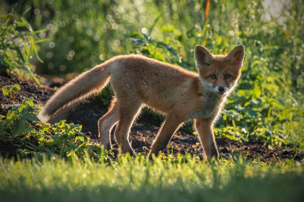 Photograph by Gatis Vilbrants