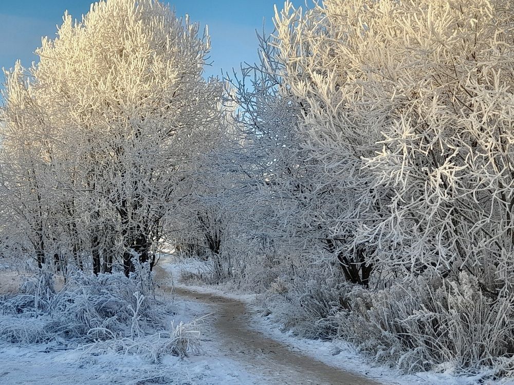 Photograph by Ольга Березовская