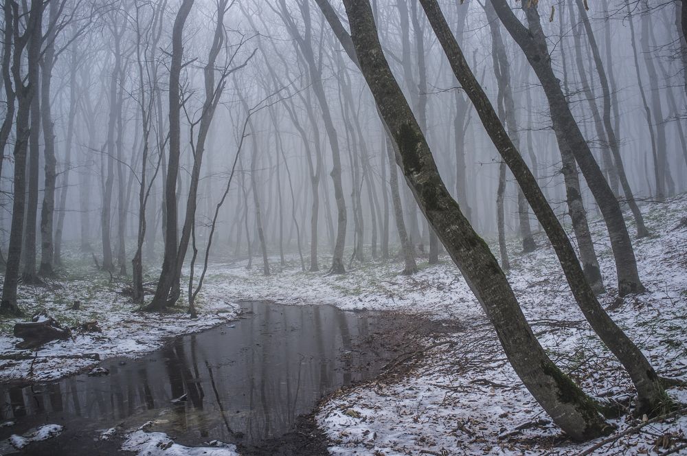 Photograph by Rustam Huseynov