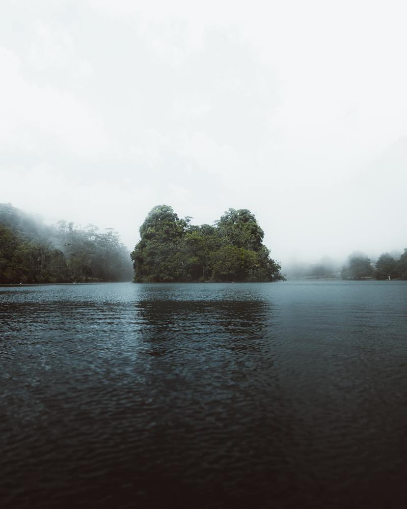 Photograph by Carvalho Allan