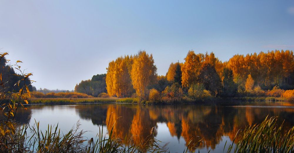 Photograph by Ольга Заболотская