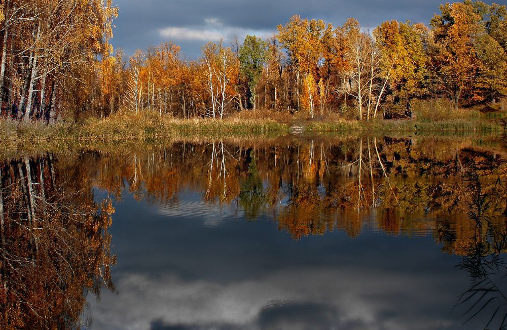 Photograph by Ольга Заболотская