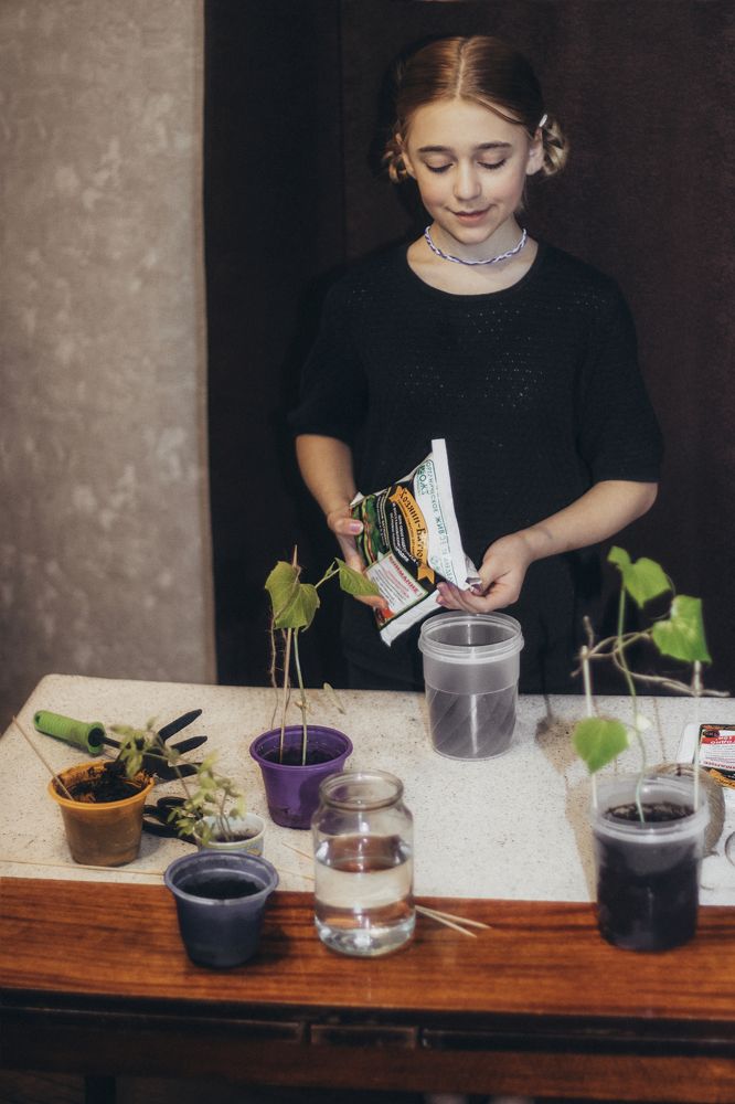 Photograph by Ольга Кирьязиева