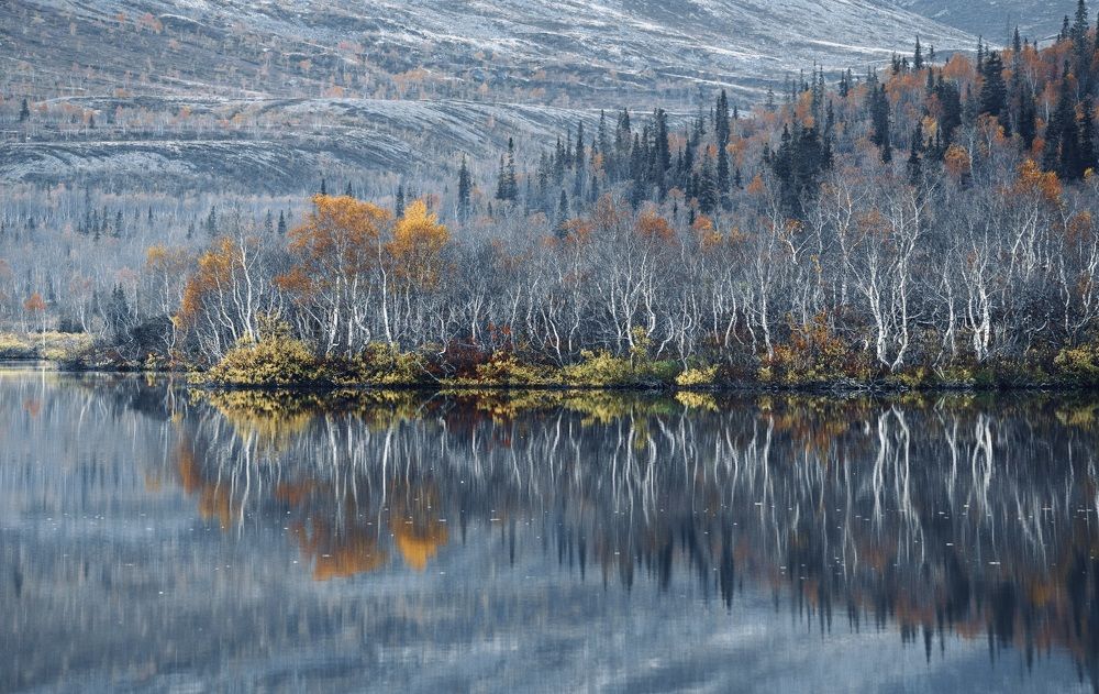 Предчувствие зимы.