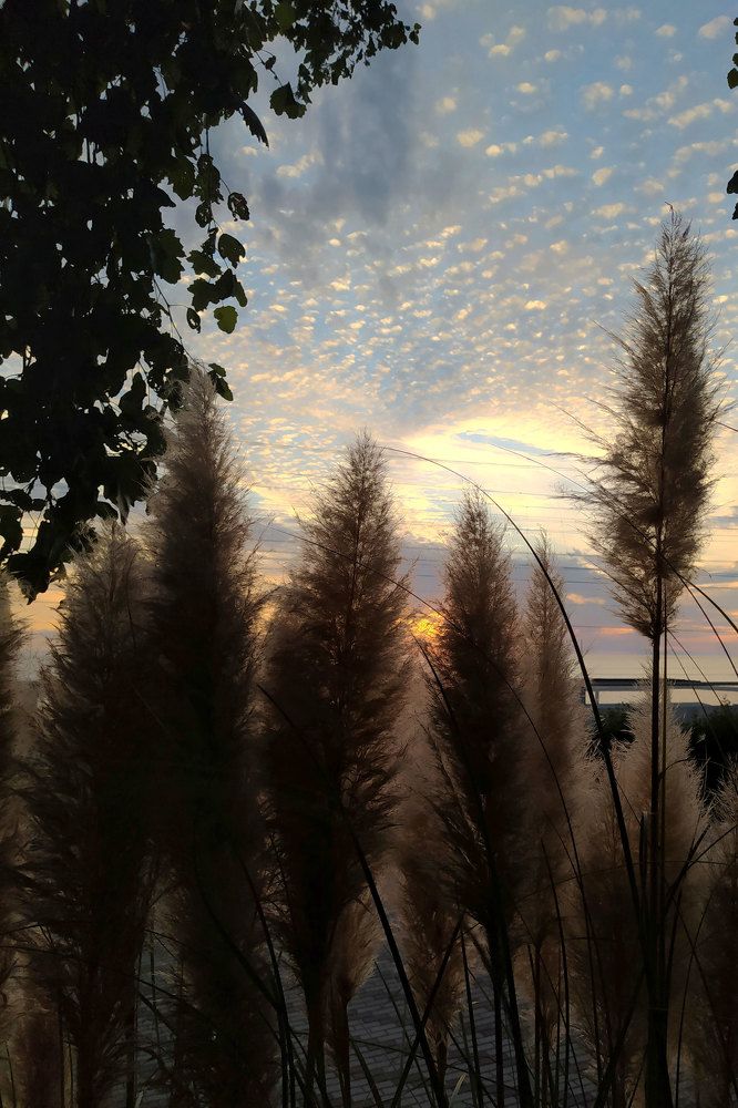 Photograph by Альфия Агзамова