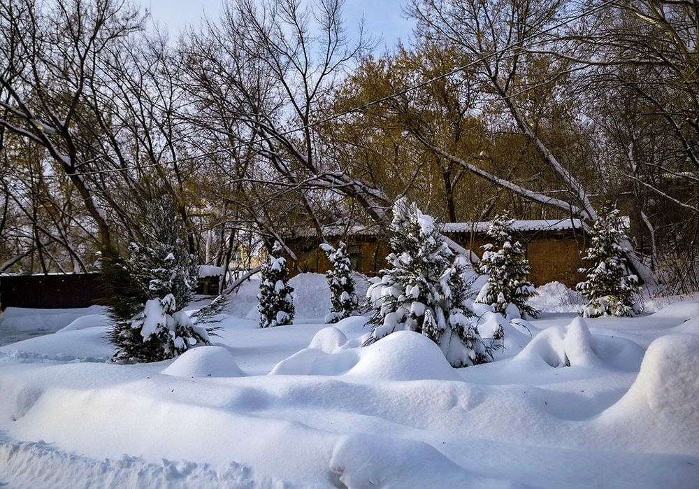 Photograph by Галина Чепиль