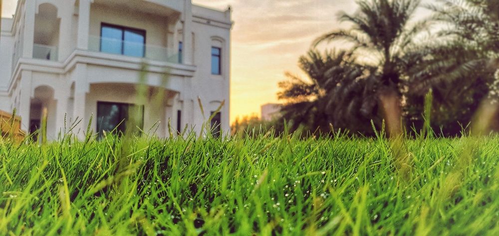 Photograph by Jishnu Sudarsan