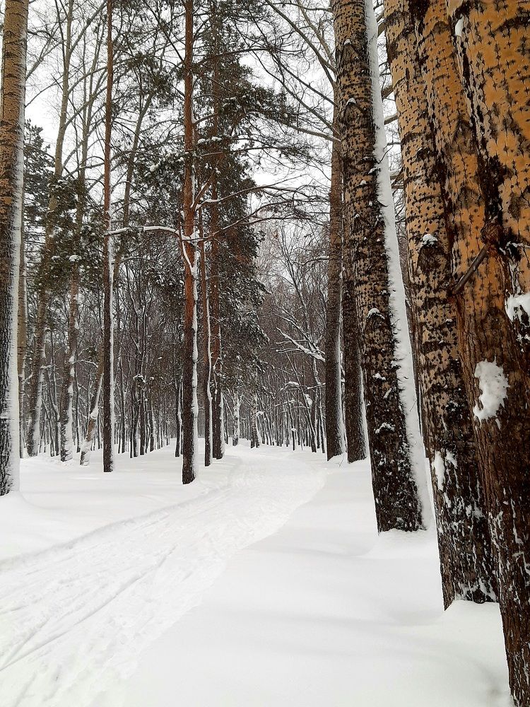 Пейзаж-день.