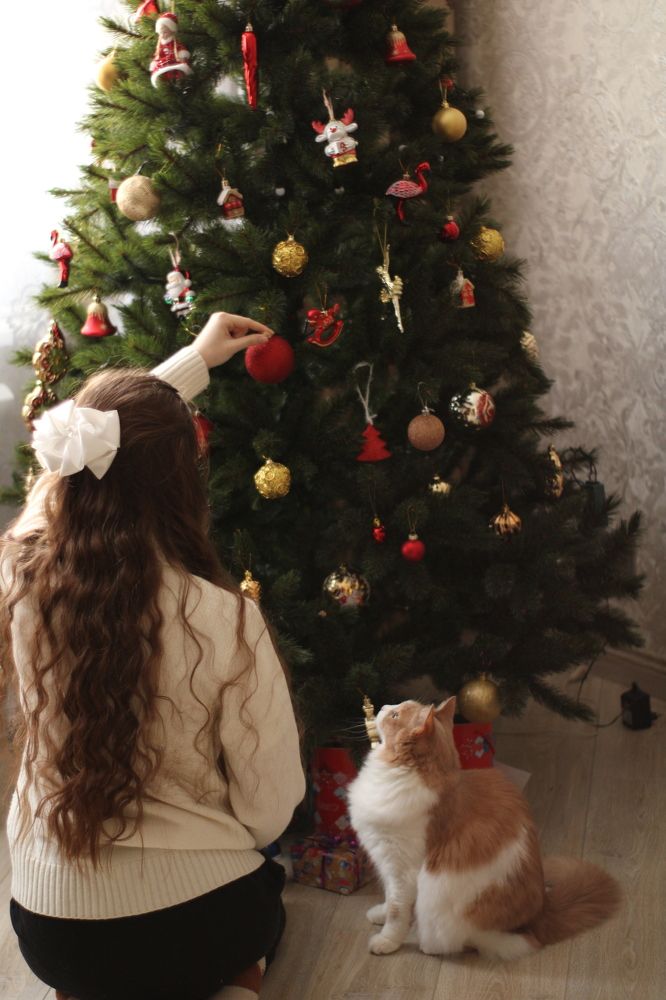 Photograph by Анастасия Липаткина